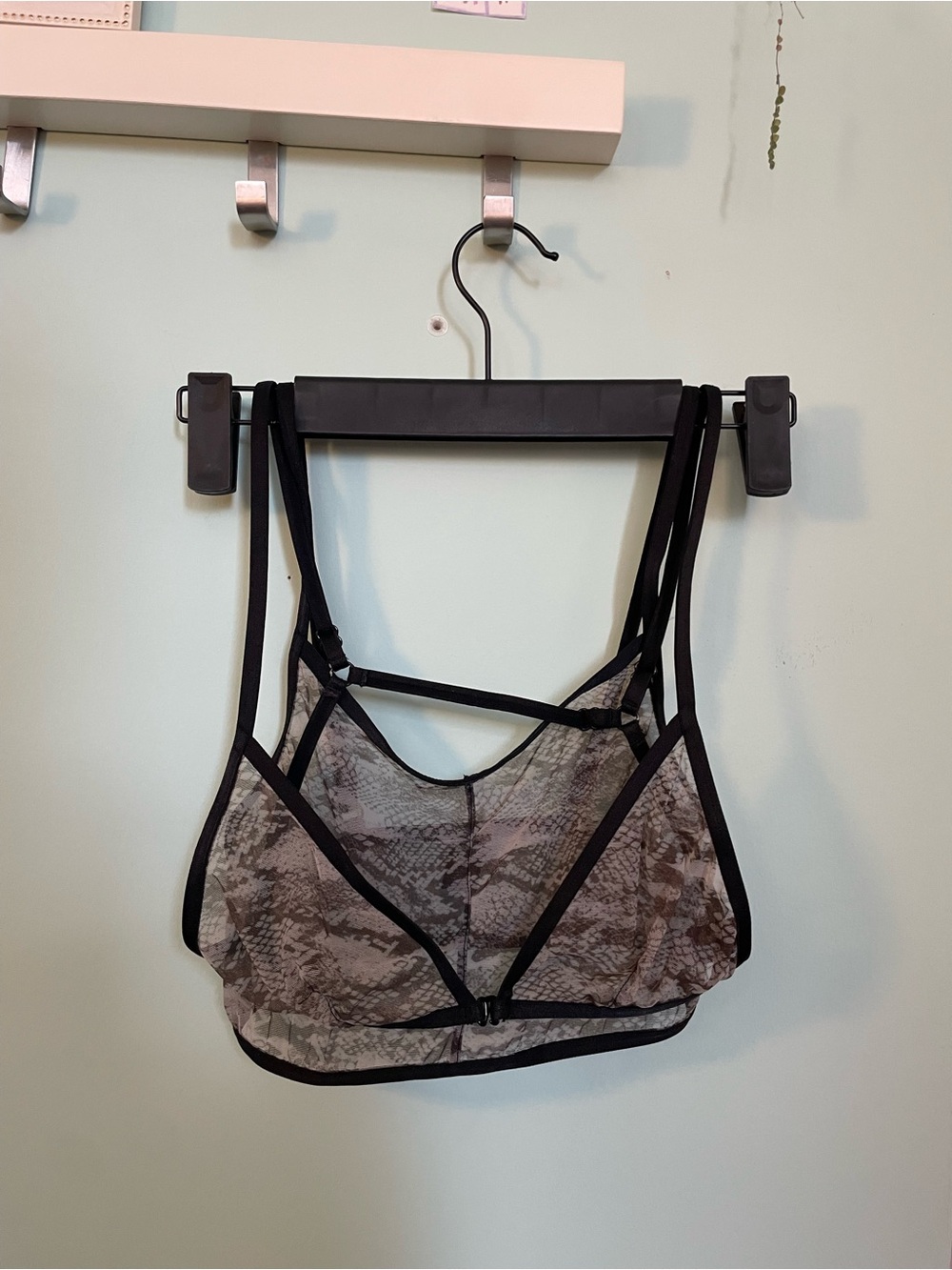 Blush Sheer Lace Bralette in Black and Gray Snake Print